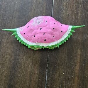 Watermelon-Themed Reptile Hide